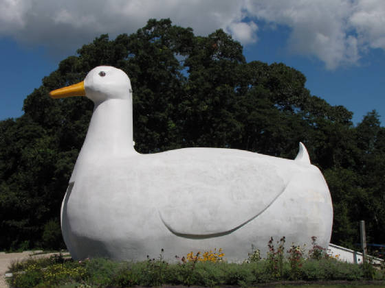 BigDuck_LAD_2009_799a.jpg